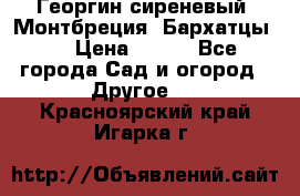 Георгин сиреневый. Монтбреция. Бархатцы.  › Цена ­ 100 - Все города Сад и огород » Другое   . Красноярский край,Игарка г.